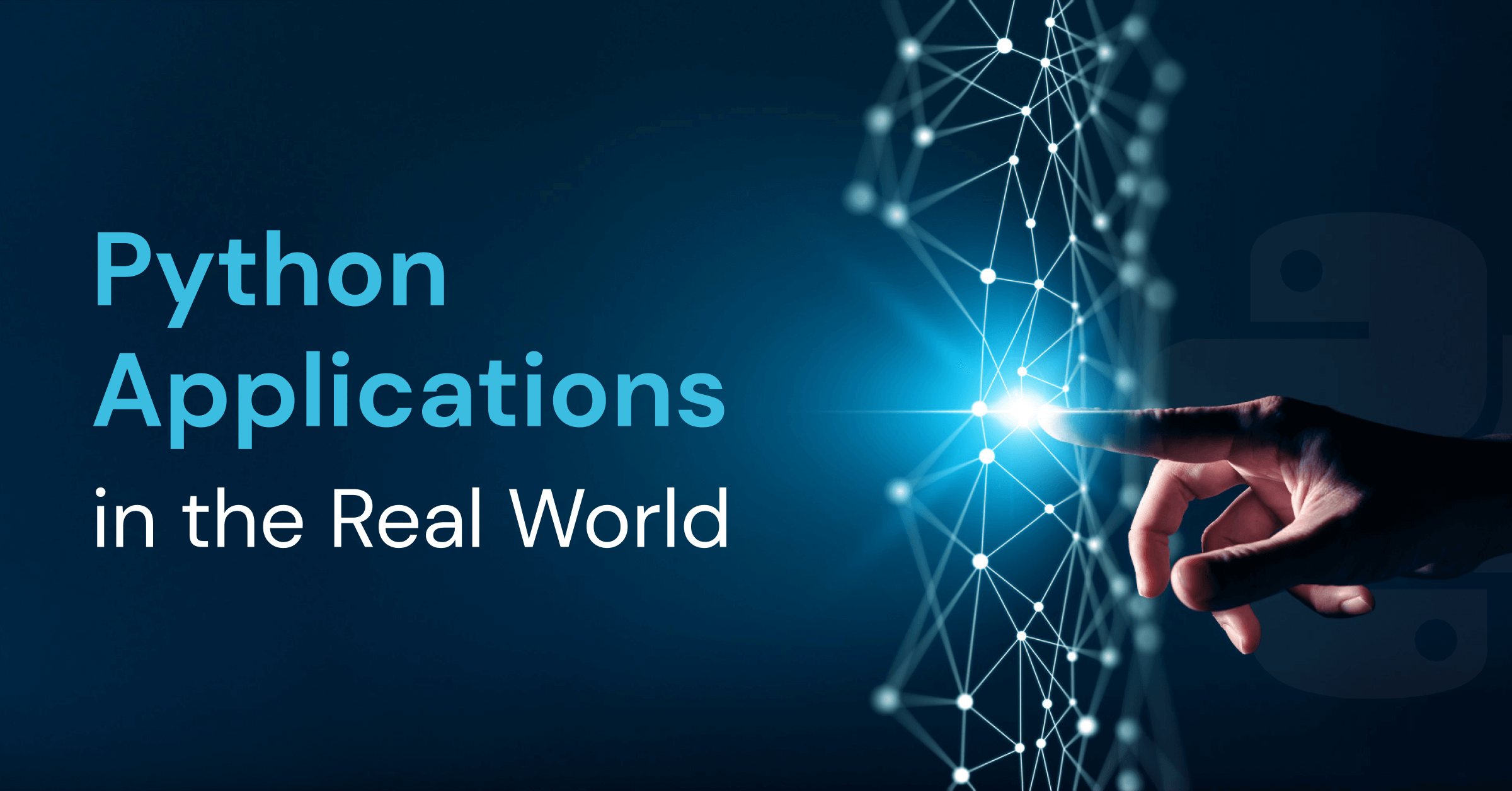 top python applications in the real world